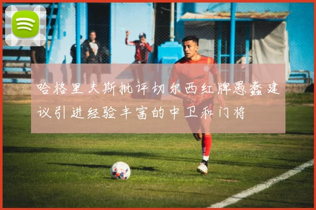 哈格里夫斯批评切尔西红牌愚蠢建议引进经验丰富的中卫和门将