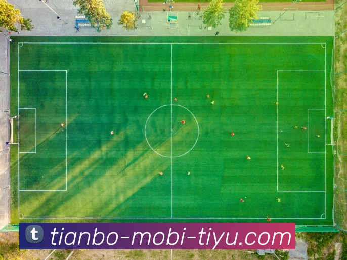 天博体育APP 高清赛事图